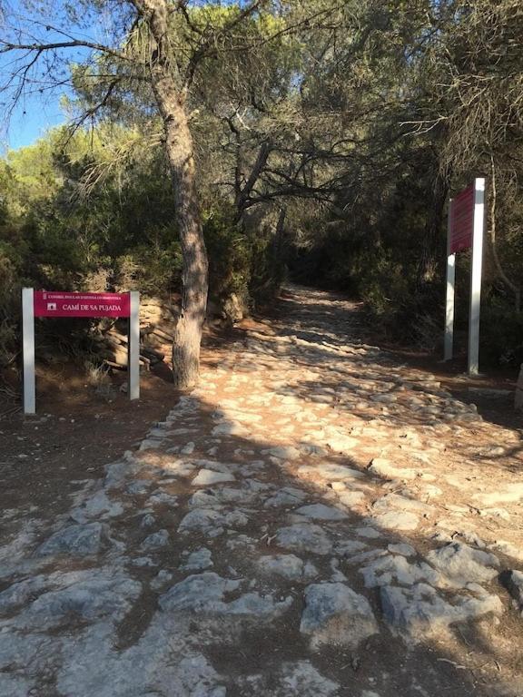 La Mundial Formentera Apartment Es Pujols Luaran gambar